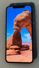 Apple iPhone XS Max Display