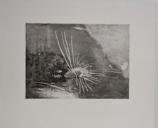 Wolfgang Werkmeister/