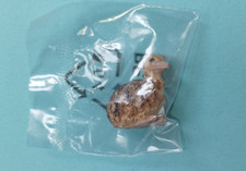 Schleich Figur Tier Strauß