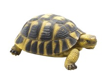 Deko Schildkröte Garten Tier