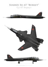 Druck Suchoi Su-47 "Berkut"