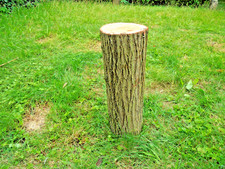 Kratzbaum Hackstock Weide