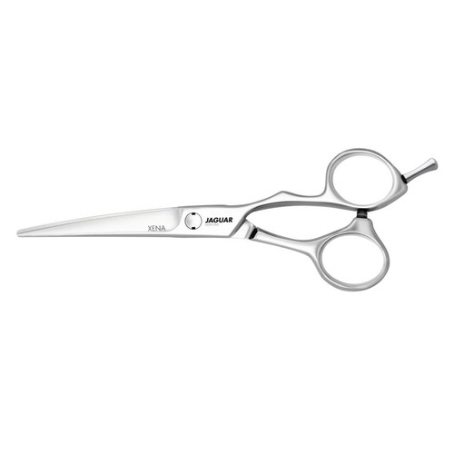 Jaguar silver line - silver, xena