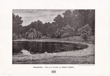 Walter Leistikow 1910 "