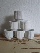THOMAS Arcta 6x Eierbecher Borkenrand weiß wie NEU