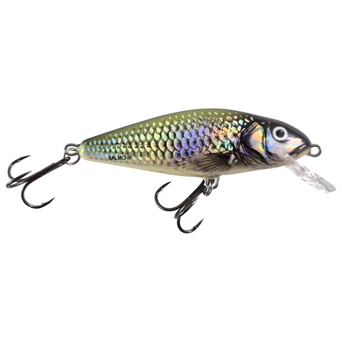Salmo perch wobbler schwimmend - salmo,