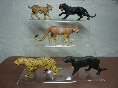 Luchs panther puma und leopard - und,