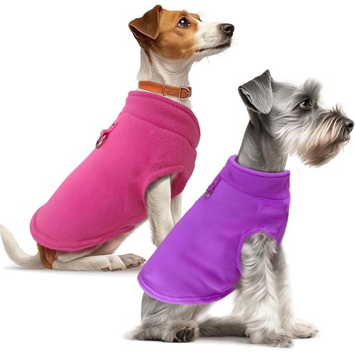 Hunde pullover set mit - hunde,