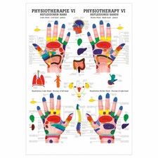 Reflexzonen Hand Poster Anatomie 70x50 cm medizinische Lehrmittel