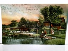 Kinder am Teich beobachten große Entenfamilie, Bauernhaus im Hintergrund. Schöne