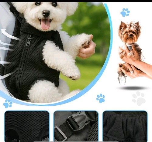 Haustier rucksack hund - haustier,