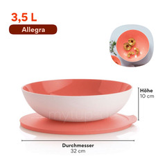 Tupperware Allegra Einzeln
