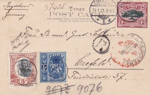 Tonga tabu 1901 - tonga-tabu, to