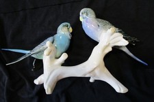 Wellensittich-Paar Porzellan