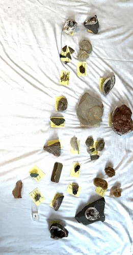 Mineralien und fossilien - mineralien,