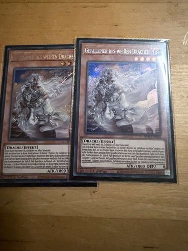 Gefallener des weißen drachen - gefallener,
