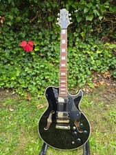 E Gitarre Semi Hollow Greg