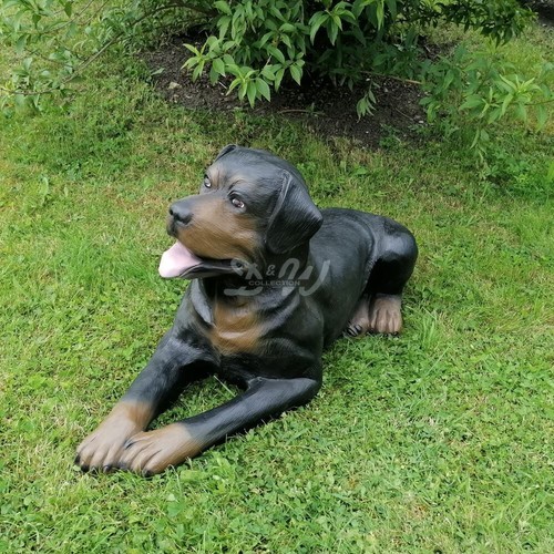 Rottweiler rotti lebensgroß - rottweiler,