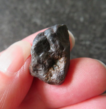 SELTENER NAMIBISCHER TSESIT