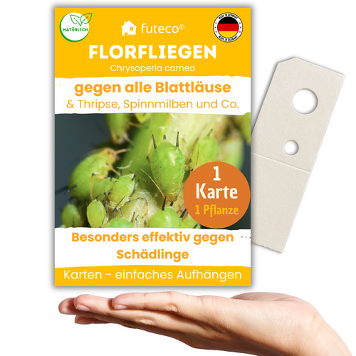 Florfliegenlarven gegen