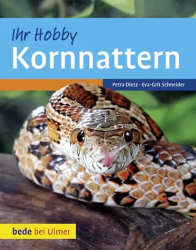 Kornnattern wie neu - ***,