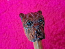 sehr schöner, sehr alter Spazierstock , Gehstock ,  Hundekopf : Boxer o. Terrier