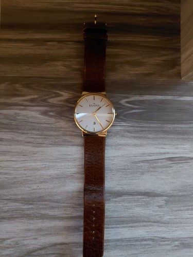Skagen skw6142 herren - skagen,