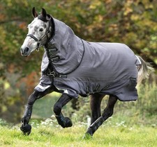 Horseware Amigo Bravo 12