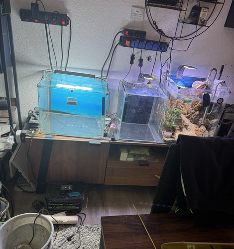 Dennerle liter nano cube - dennerle, 30