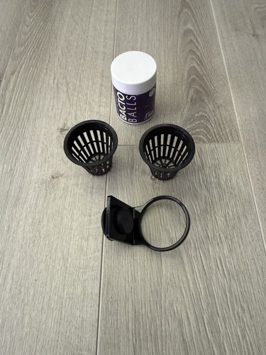 Fauna marin the - fauna, cup