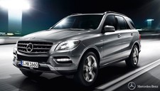 Mtec exclusive xenon - mtec,