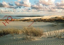 Ansichtskarte ~ Kurische