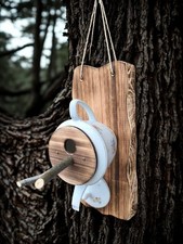 Vogelhaus aus Kaffeekanne