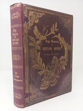 The Genera of British Moths, H. Noel Humphreys, Illustrated 1860 1st Ed. HB