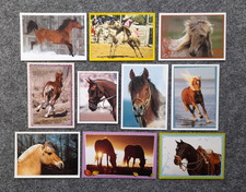 Panini , PFERDE - Verschiedene