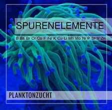 Spurenelemente für Meerwasser-Aquaristik