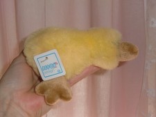 ❤️  Nici   ❤️ Ente