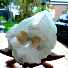 Mineralien : Museums Stufe mit  Apophyllit und Stilbit von Poona , Indien.