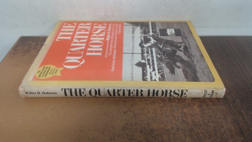 The quarter horse walter - the,