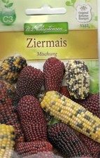  Ziermais Mischung dekorativ  Trockenblume Samen 5532