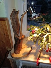 Treibholz Tischlampe,LED Leuchte,UNIKAT,Schreibtischlampe,Beistell-Leuchte-SPOT