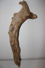 Treibholz Holzwurzel