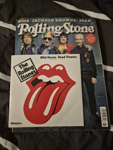 Rolling stones wild horses - stones,