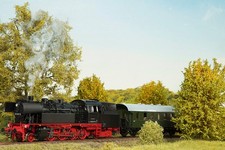 H0 Piko 55916 Dampflok BR