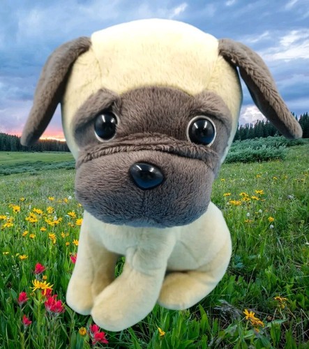 Pets2cuddle hund mops maya - hund,