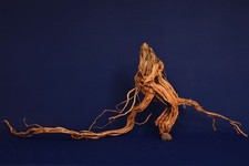 Aquarium Wurzel *120cm* /