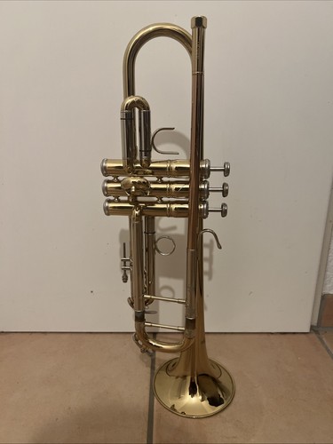 Stagg 115 schüler - stagg, ws