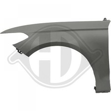 Diederichs Kotflügel links