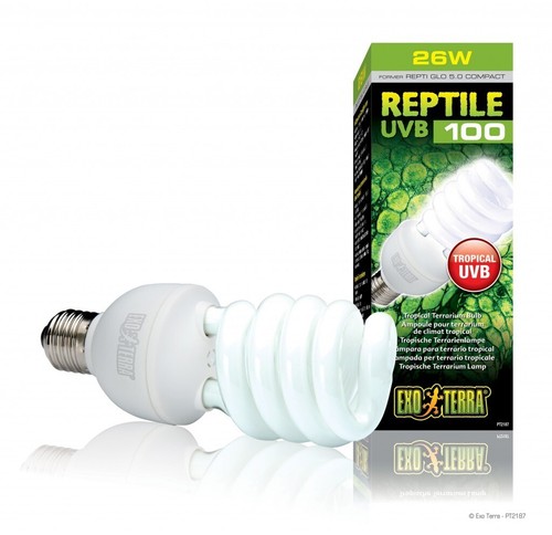 Exo terra reptile uvb100 lampe - reptile,