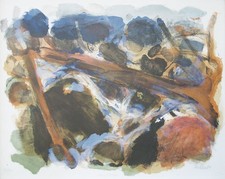 Metzkes Harald, Wildbach